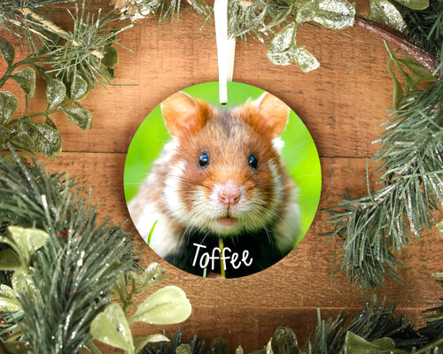 Personalised Hamster, Mouse, Gerbil Christmas Tree Ornament