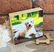 Load image into Gallery viewer, 1088 - Square Pet Photoblock