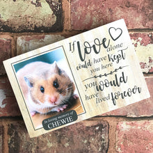 Load image into Gallery viewer, 1130 - Hamster Memorial Photoblock