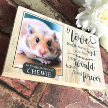 Load image into Gallery viewer, 1130 - Hamster Memorial Photoblock
