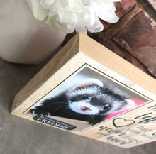 Load image into Gallery viewer, 1133 - Ferret Memorial Photoblock