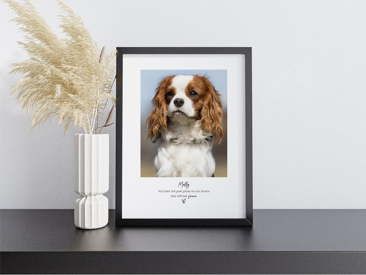 Personalised Pet Memorial Photo Frame & Print – 1 Photo