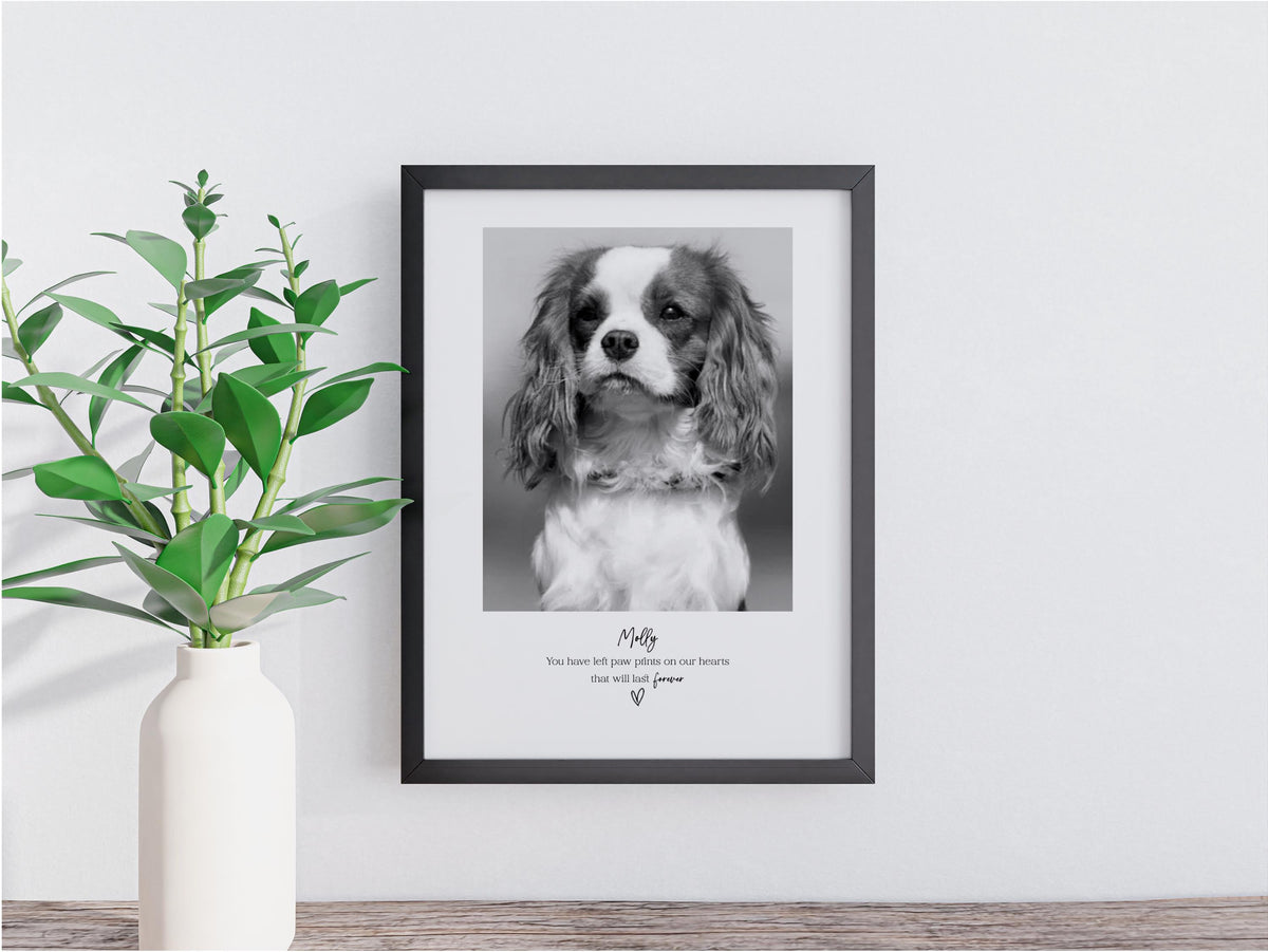 Personalised Pet Memorial Photo Frame & Print – 1 Photo