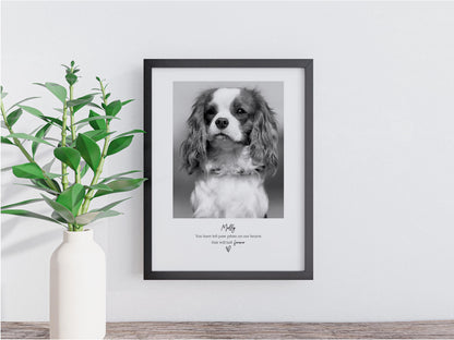 Personalised Pet Memorial Photo Frame & Print – 1 Photo