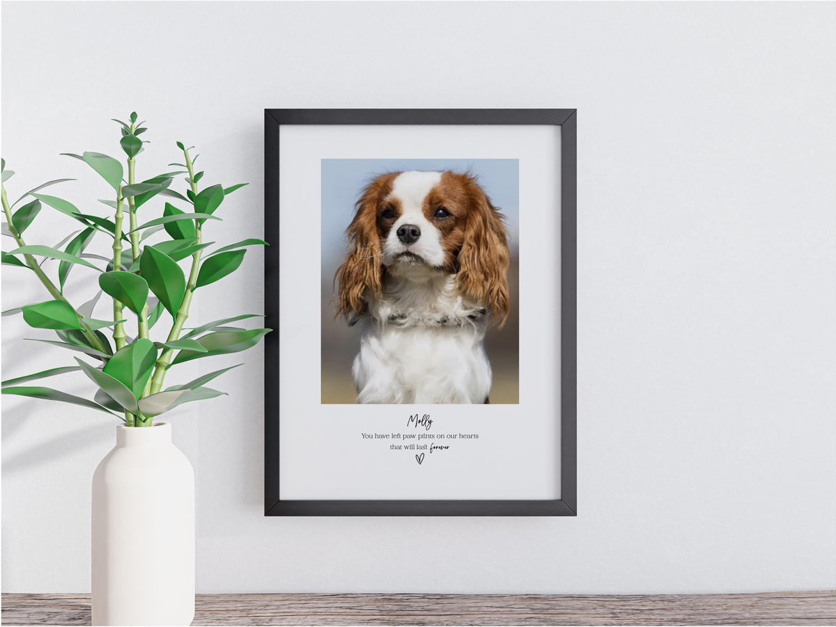 Personalised Pet Memorial Photo Frame & Print – 1 Photo