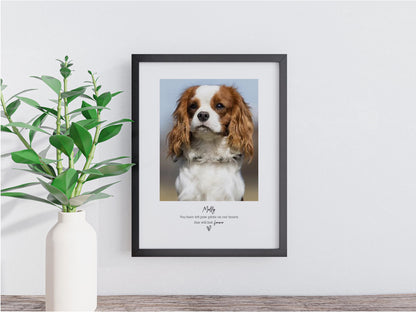 Personalised Pet Memorial Photo Frame & Print – 1 Photo