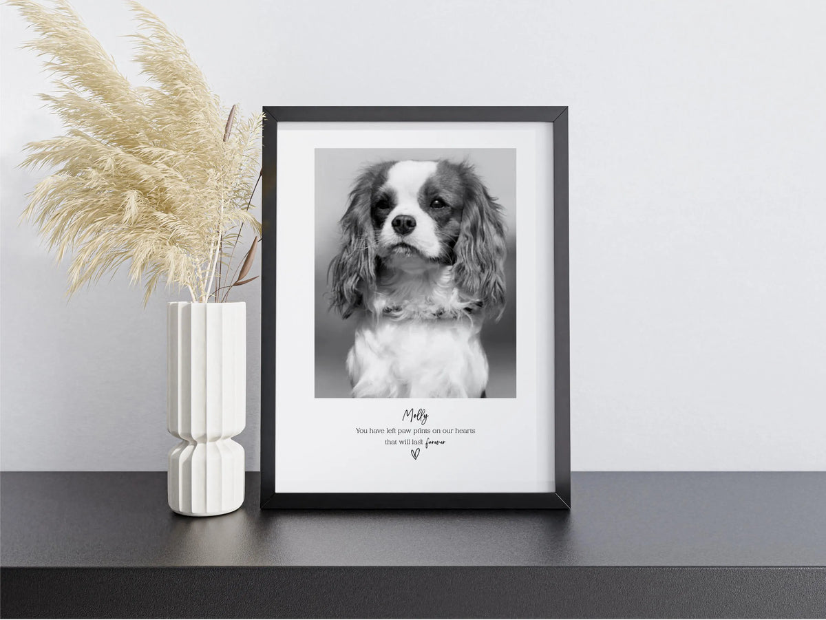 Personalised Pet Memorial Photo Frame & Print – 1 Photo