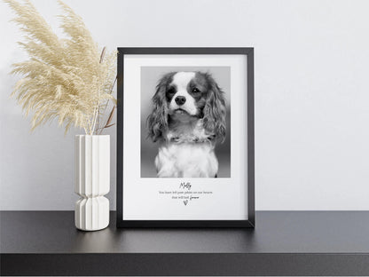 Personalised Pet Memorial Photo Frame & Print – 1 Photo