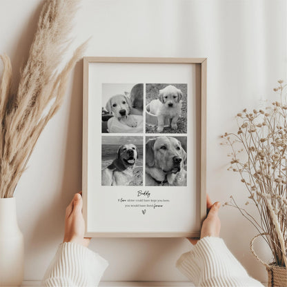 Personalised Pet Memorial Photo Frame & Print – 4 Photos
