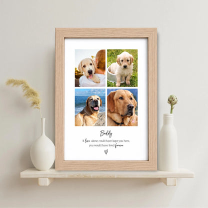 Personalised Pet Memorial Photo Frame & Print – 4 Photos