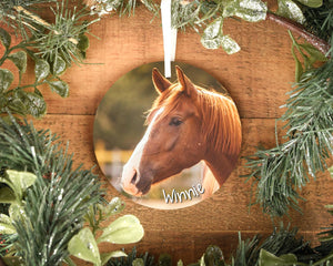 Personalised Horse Christmas Tree Ornament