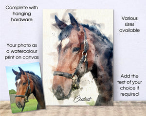 4003 - Custom Horse Watercolour Canvas