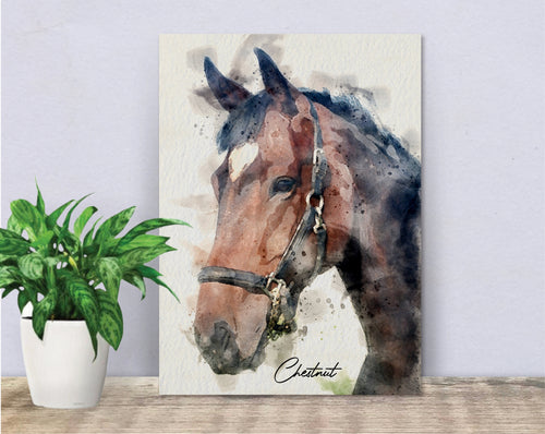 4003 - Custom Horse Watercolour Canvas