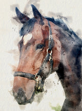 Load image into Gallery viewer, 4003 - Custom Horse Watercolour Canvas